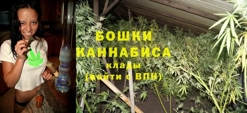 Шишки марихуана Bruce Banner  купить  сайты  Алейск 